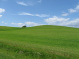 Grüne Hügel