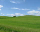 Grüne Hügel