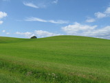 Grüne Hügel